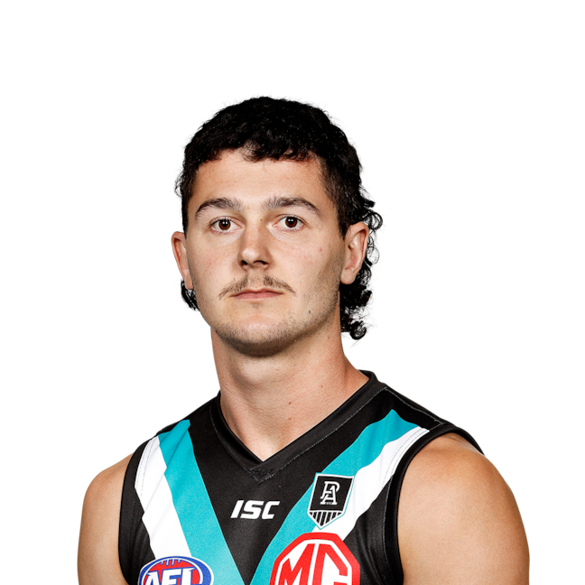 Darcy Byrne-Jones profile picture